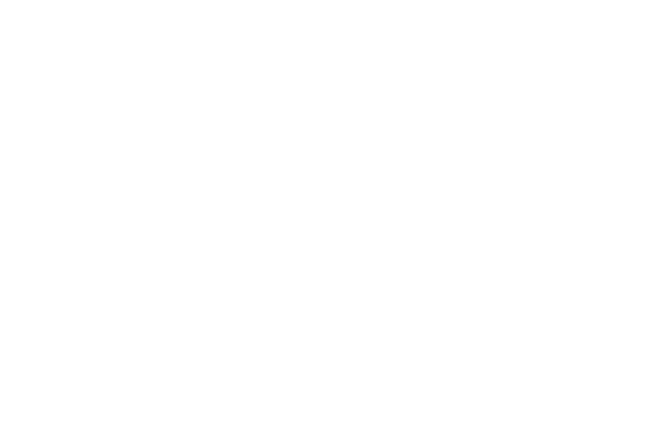 Stance and Story