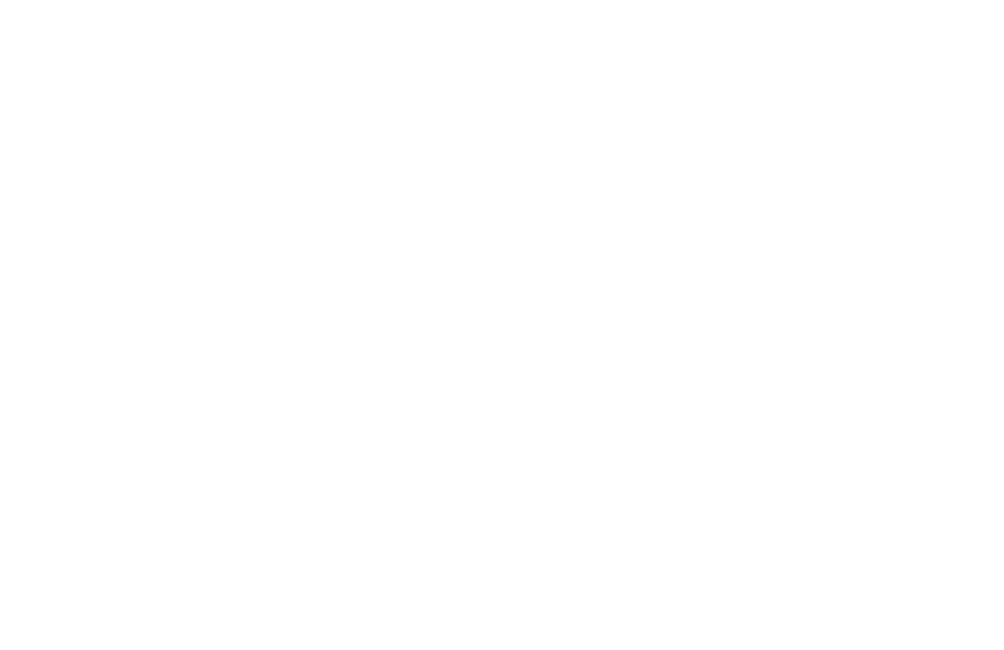 Stance and Story